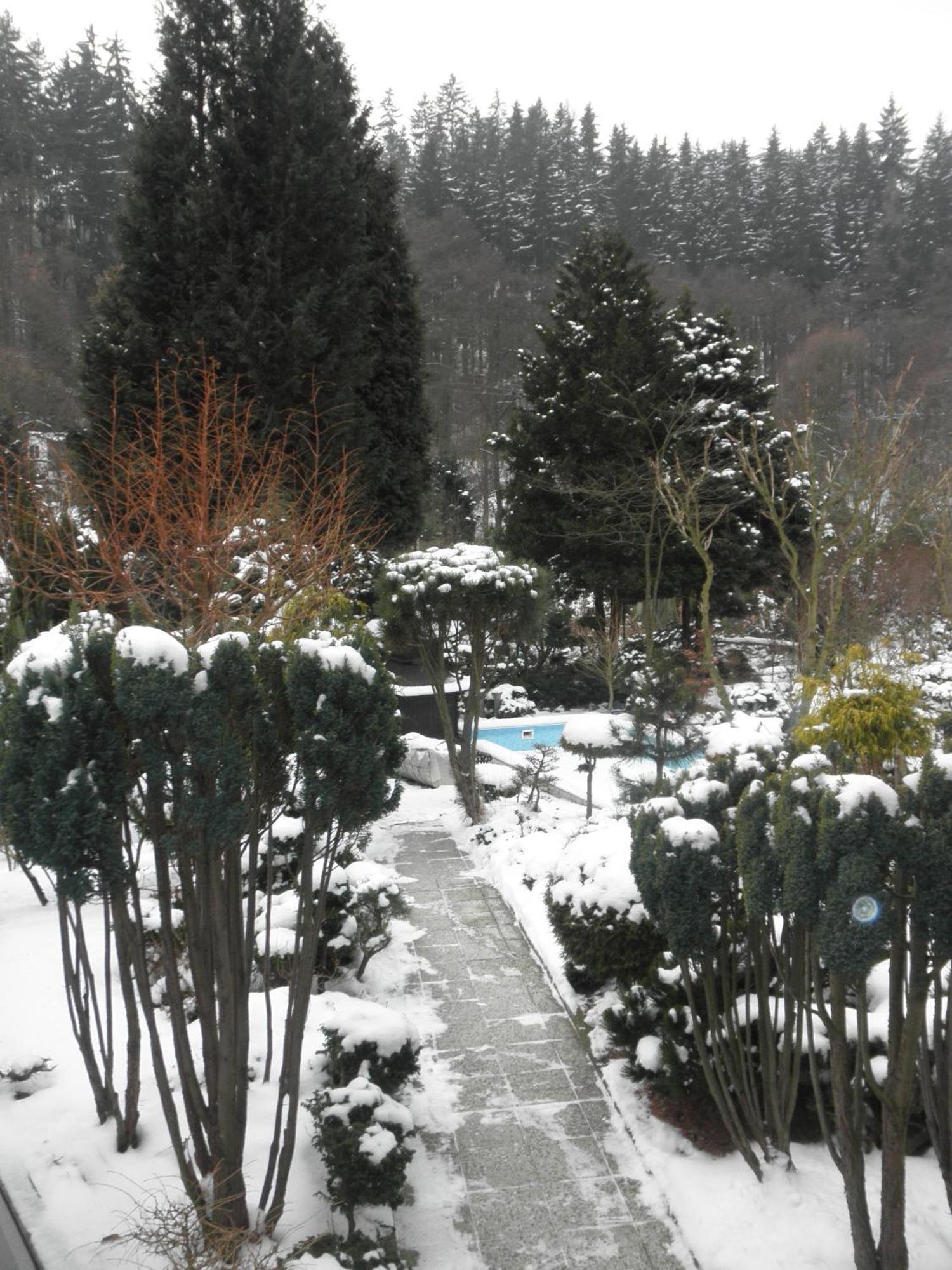 Pension U Kaktusu Karlovy Vary Luaran gambar
