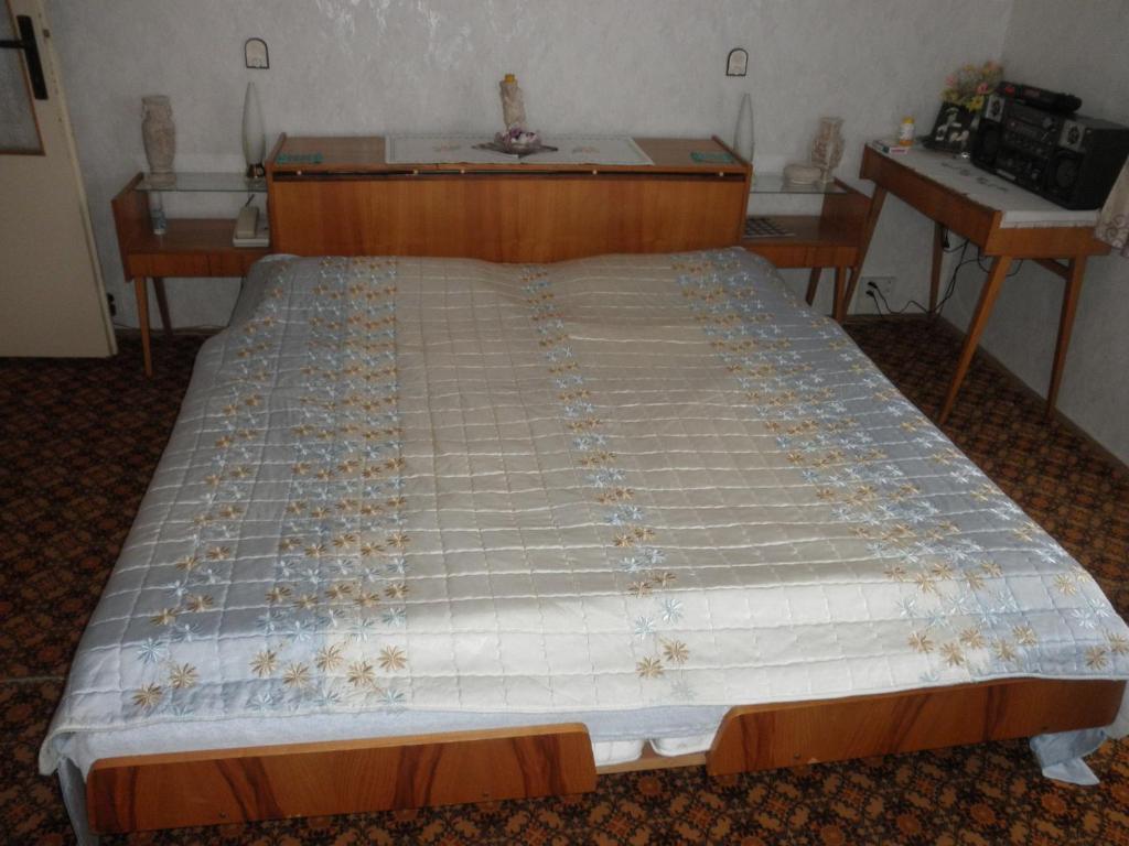 Pension U Kaktusu Karlovy Vary Bilik gambar