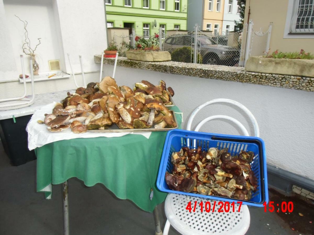 Pension U Kaktusu Karlovy Vary Luaran gambar